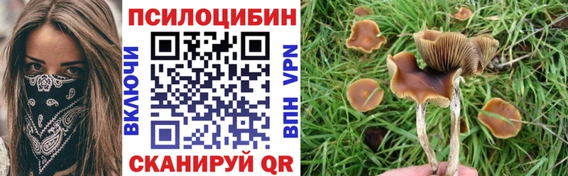 Псилоцибиновые грибы Magic Shrooms  Белореченск 